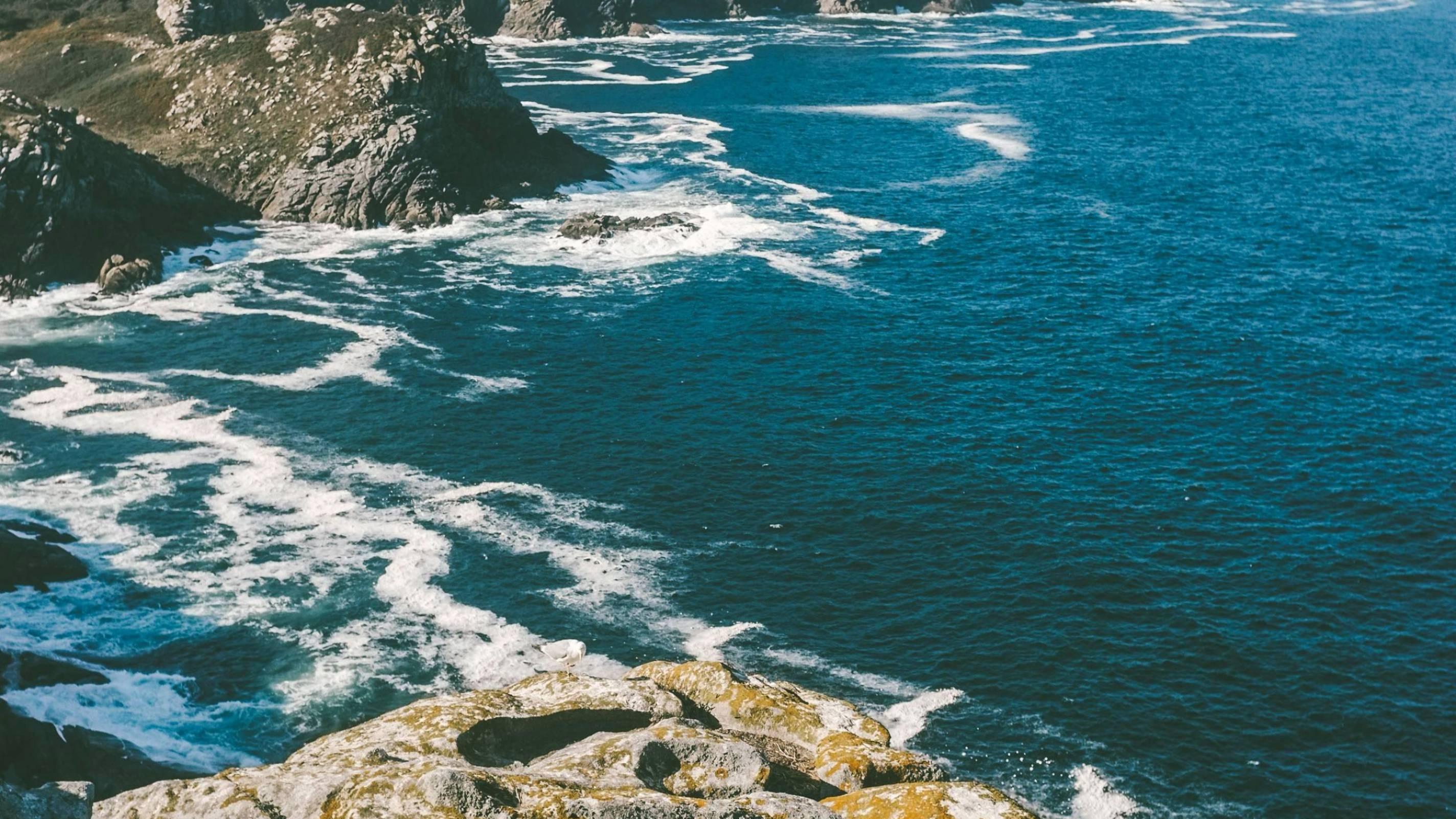 Spain's Great White Leap